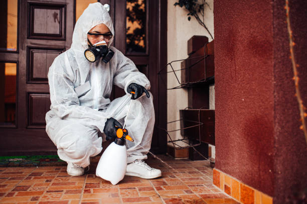 Reliable Wasp Removal contractor in Greensboro, AL by Show Me Pest Control